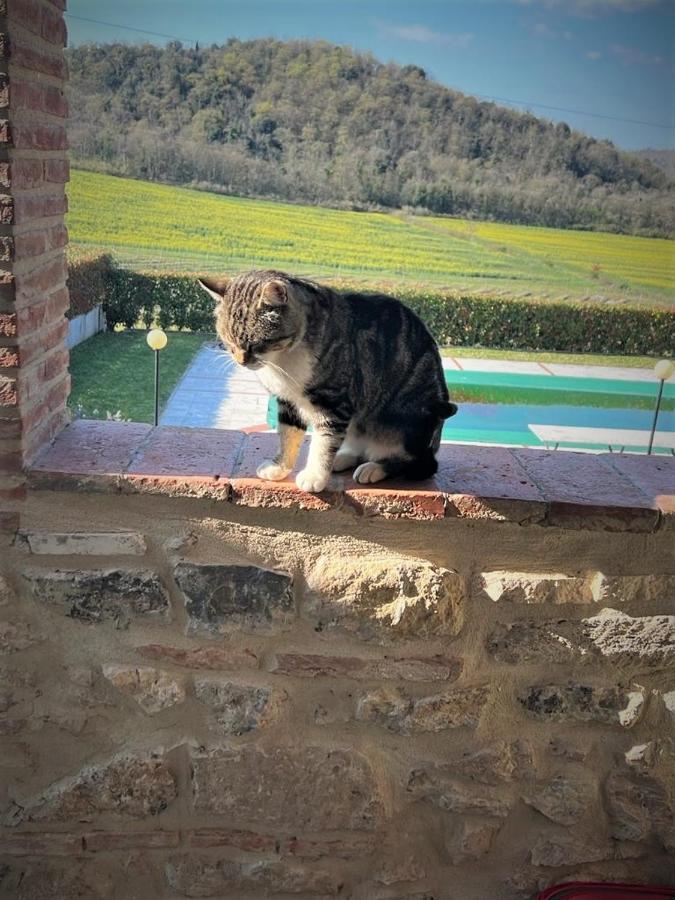 Podere La Selva Rapolano Terme Exteriör bild