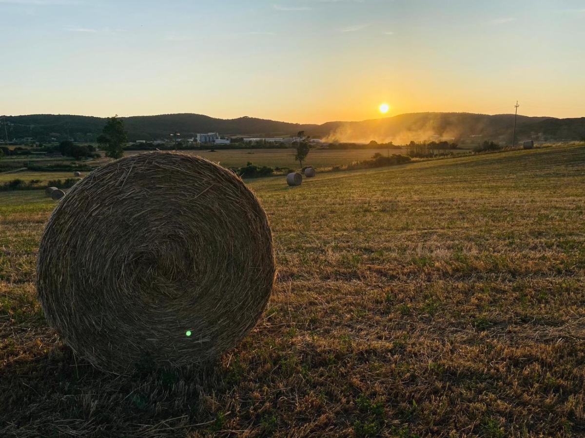 Podere La Selva Rapolano Terme Exteriör bild