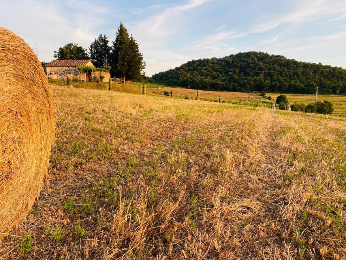 Podere La Selva Rapolano Terme Exteriör bild