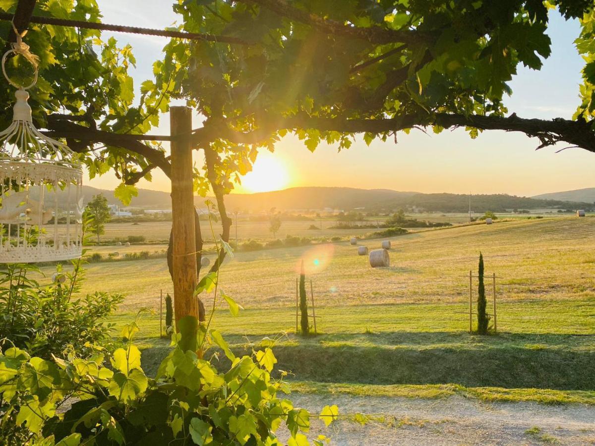 Podere La Selva Rapolano Terme Exteriör bild
