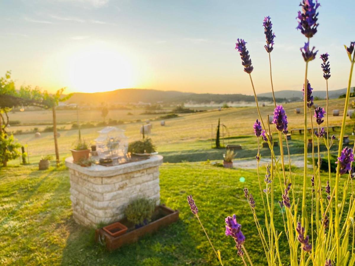 Podere La Selva Rapolano Terme Exteriör bild