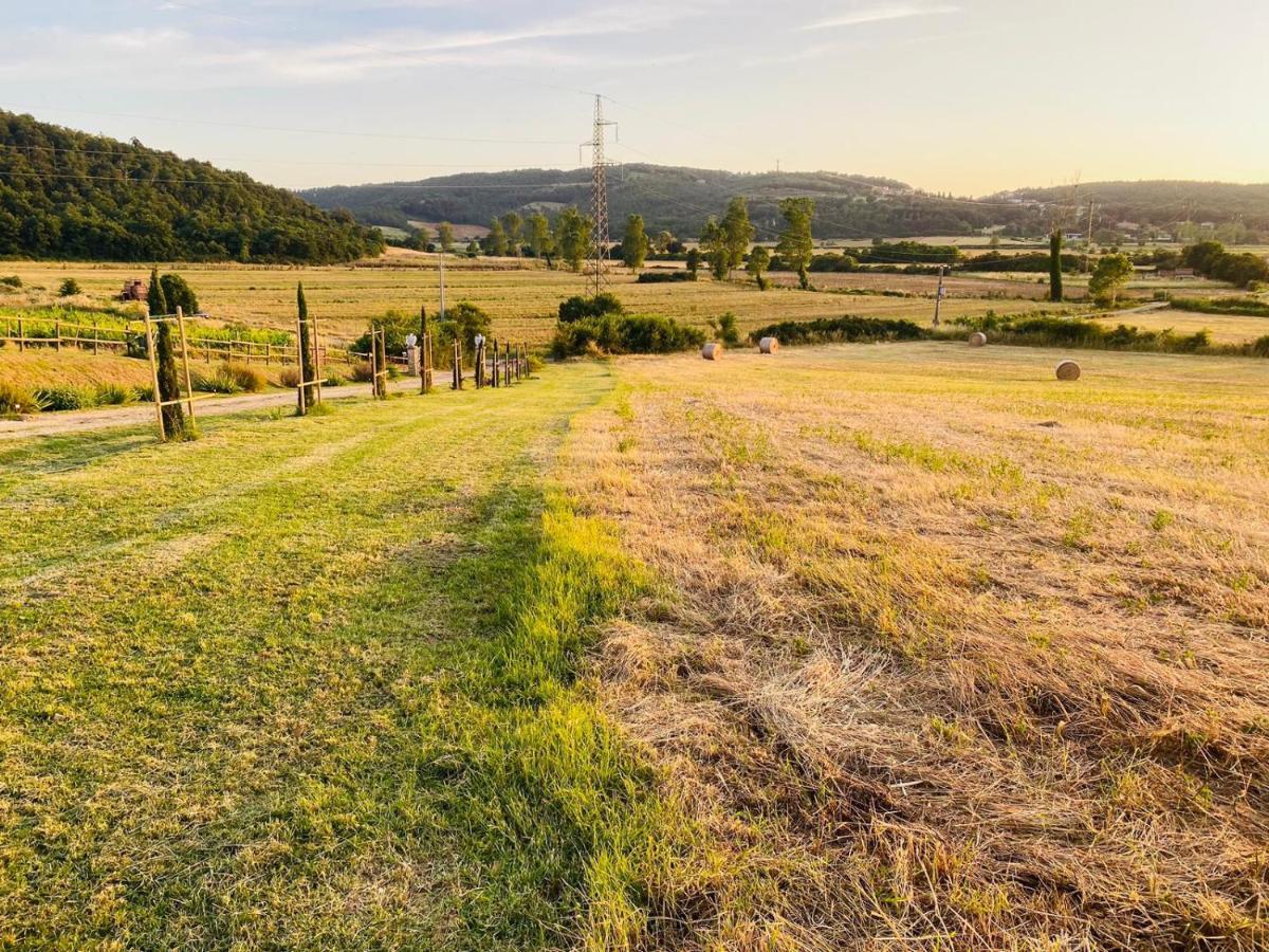 Podere La Selva Rapolano Terme Exteriör bild