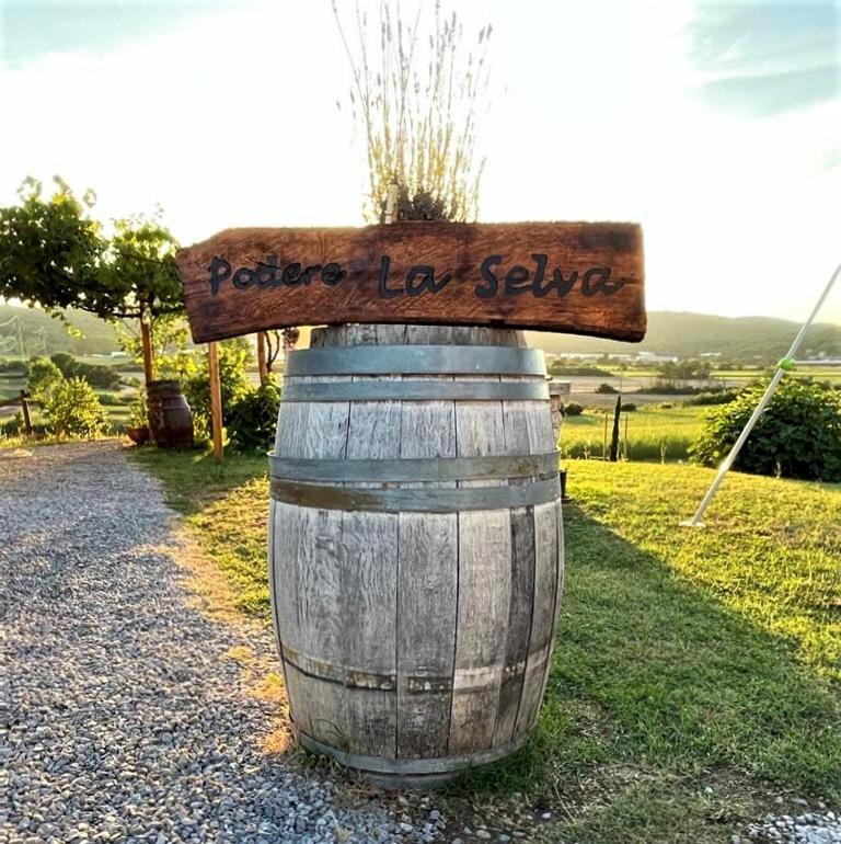 Podere La Selva Rapolano Terme Exteriör bild